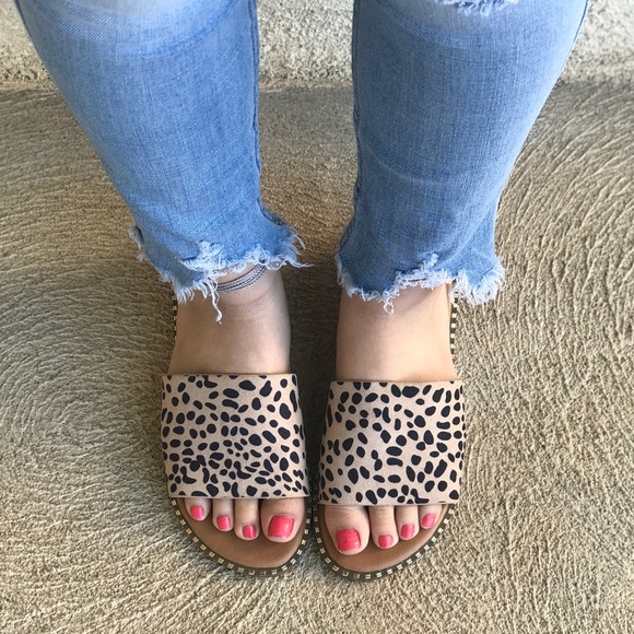 CHEETAH SLIDES - Picture 4 of 7